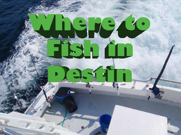 Fishing in Destin | Beach Condos in Destin