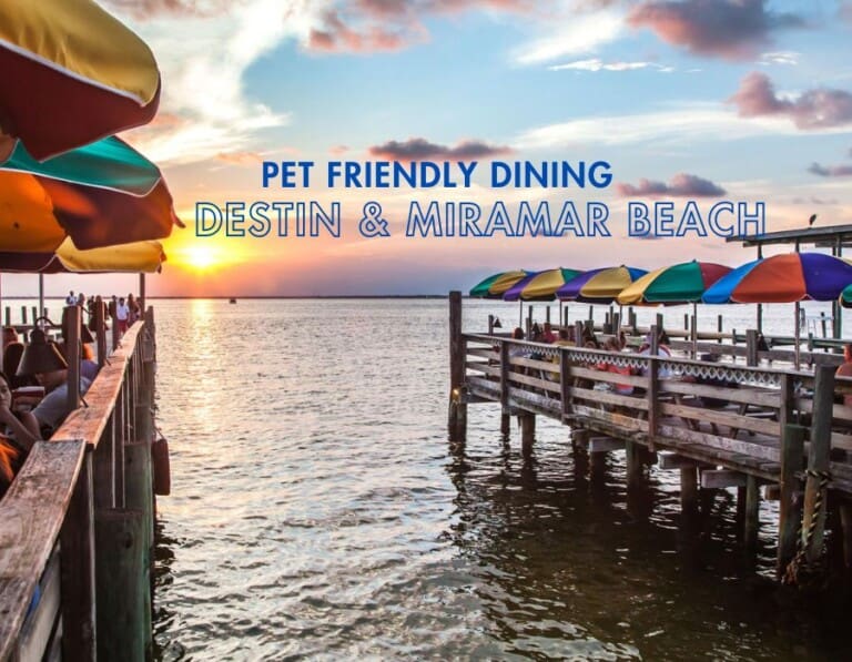 Pet Friendly Dining Destin and Miramar Beach #Dogs Welcome Destin