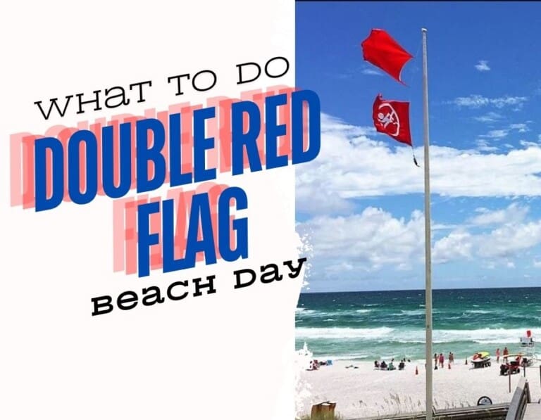 What to do on a Double Red Flag Beach Day #