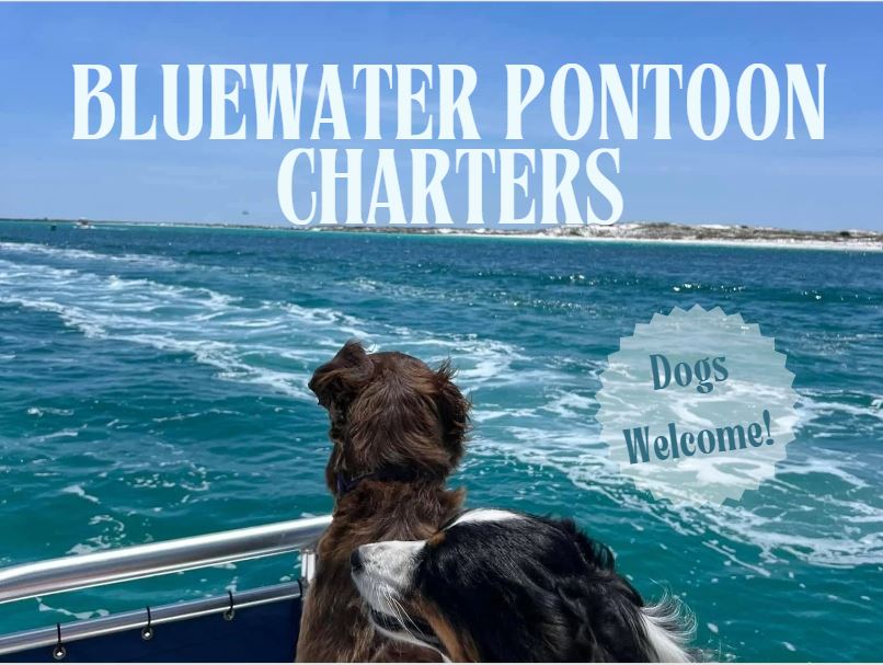 Destin Pontoon Charters #Dog Friendly Destin Boats