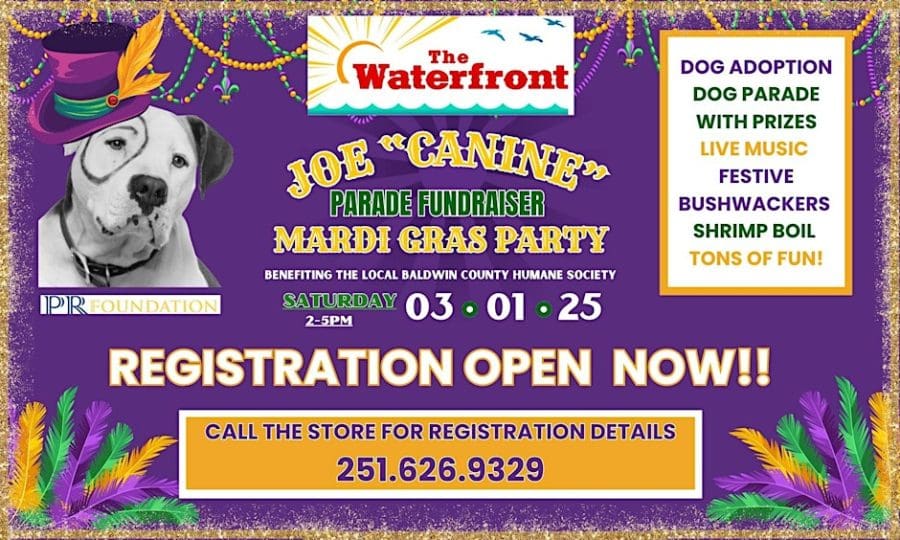 Mardi gras events in destin